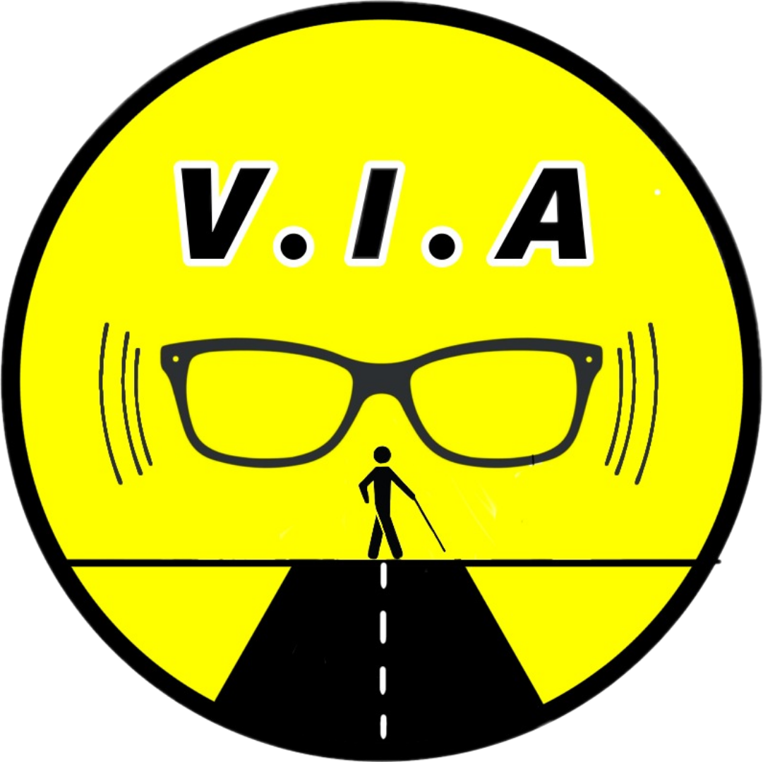V.I.A Logo